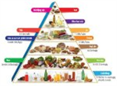 DINH DƯỠNG CẦN THIẾT CHO BÉ
