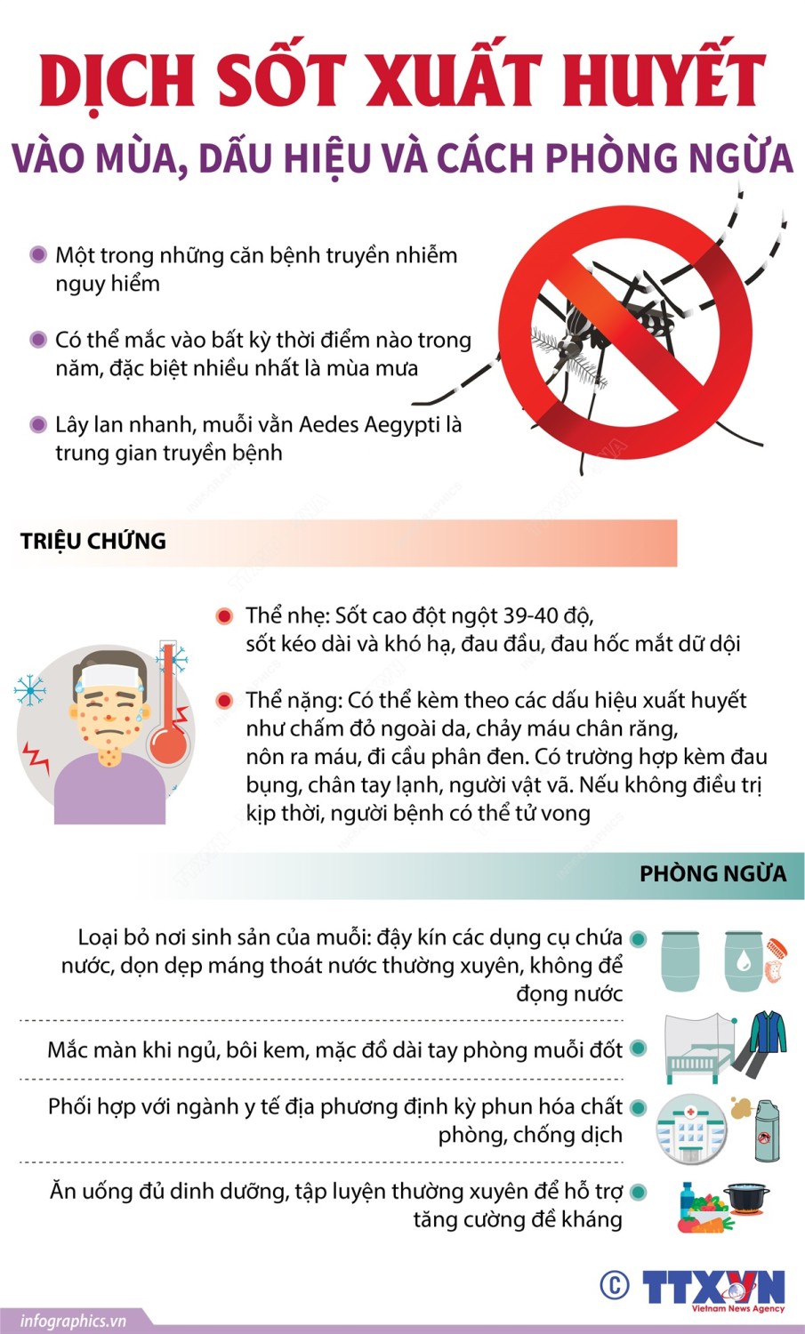 infographics sot xuat huyet