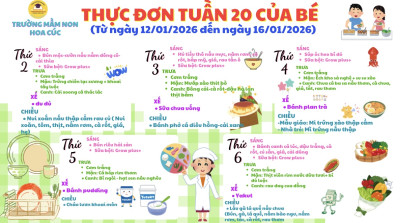 Thực đơn tuần 20