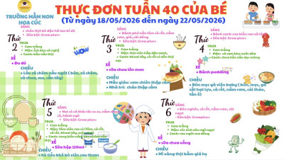 Thực đơn tuần 40