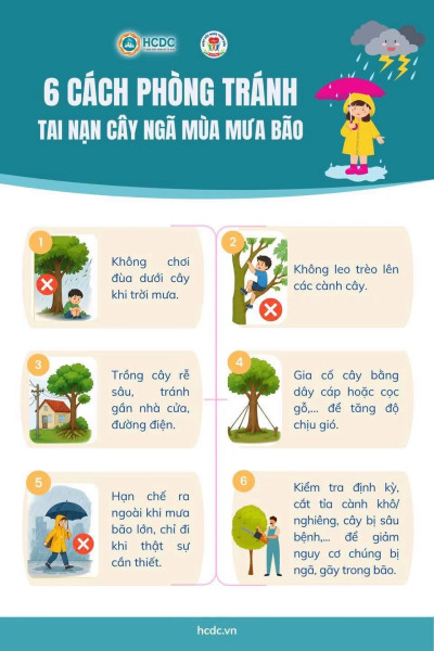 Phòng tránh tai nạn cây ngã trong mùa mưa bão