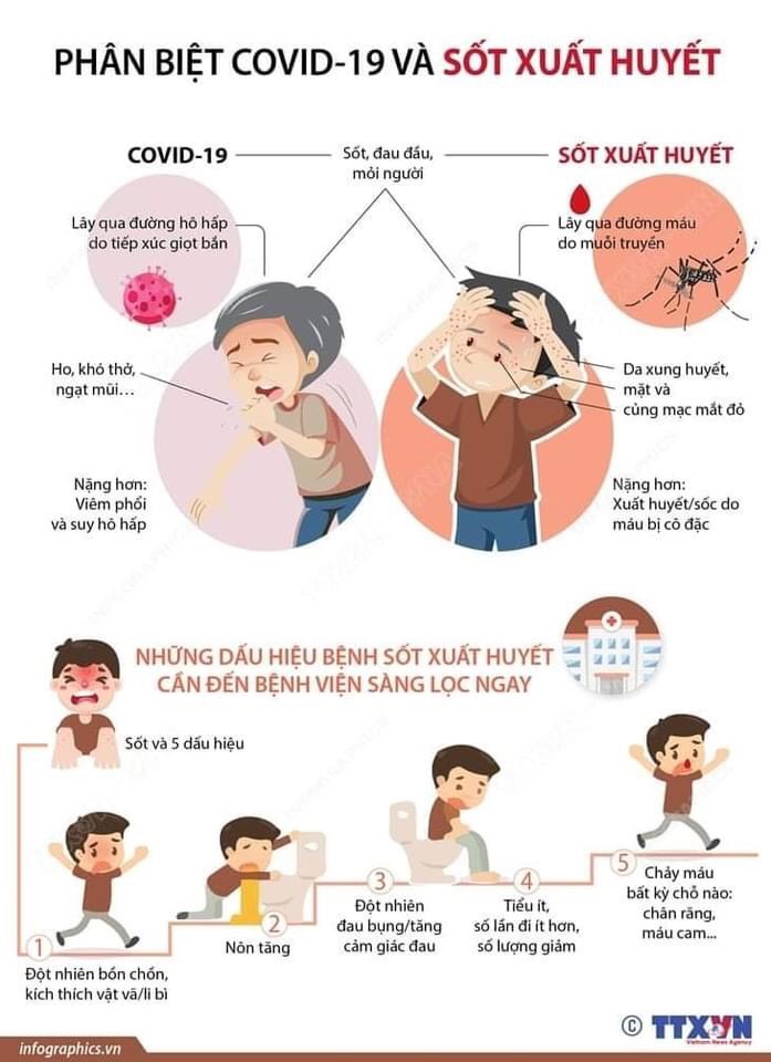 Phân biệt Sốt xuất huyết và Covid 19