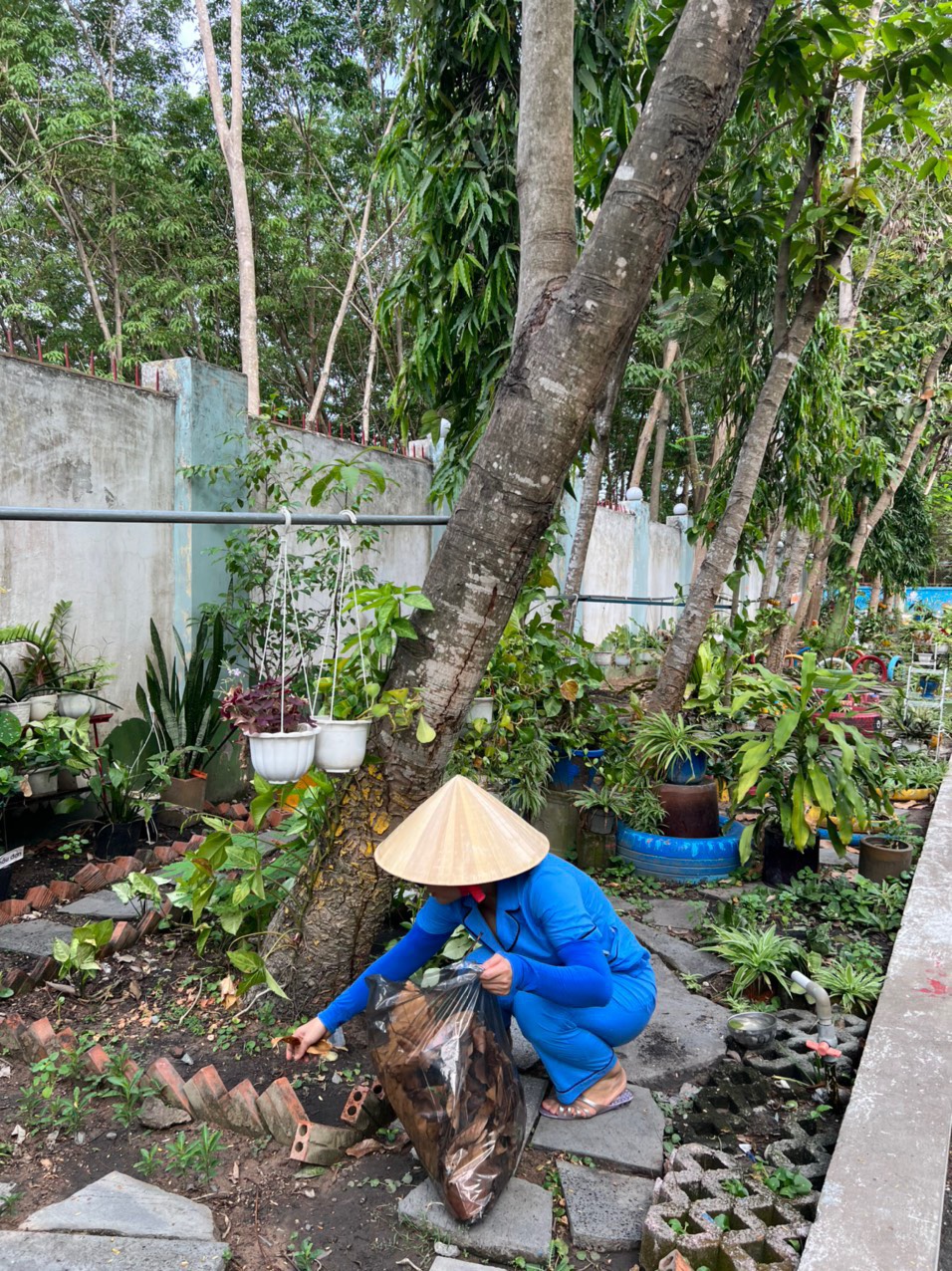 phong dịch covid